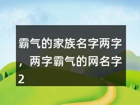 霸气的家族名字两字，两字霸气的网名字235条