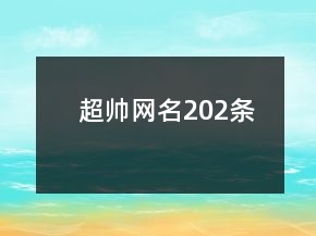 超帅网名202条