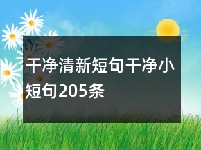 干净清新短句干净小短句205条