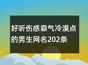 好听伤感霸气冷漠点的男生网名202条