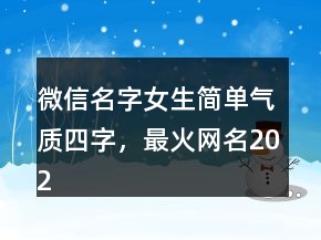 微信名字女生简单气质四字，最火网名202条