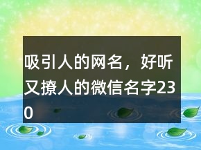 吸引人的网名，好听又撩人的微信名字230条