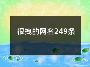 很拽的网名249条