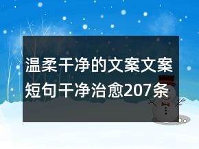 温柔干净的文案文案短句干净治愈207条