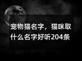 宠物猫名字，猫咪取什么名字好听204条
