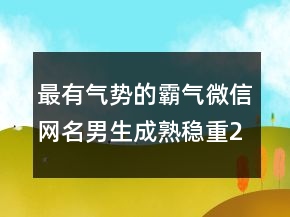 最有气势的霸气微信网名男生成熟稳重223条