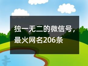 独一无二的微信号，最火网名206条