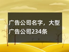 广告公司名字，大型广告公司234条