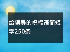 给领导的祝福语简短字250条