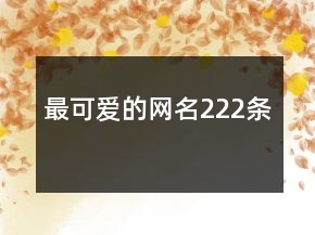 最可爱的网名222条