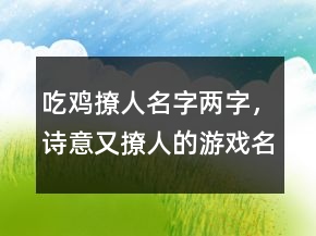 吃鸡撩人名字两字，诗意又撩人的游戏名字250条