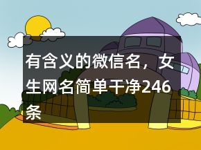 有含义的微信名，女生网名简单干净246条