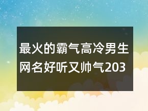 最火的霸气高冷男生网名好听又帅气203条