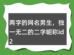 两字的网名男生，独一无二的二字昵称id232条