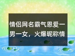 情侣网名霸气恩爱一男一女,火爆昵称情侣230条
