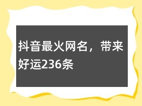 抖音最火网名，带来好运236条