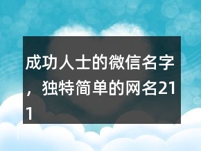 成功人士的微信名字，独特简单的网名211条