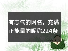 有志气的网名，充满正能量的昵称224条