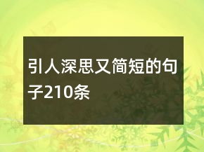 引人深思又简短的句子210条