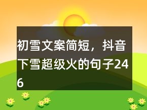 初雪文案简短，抖音下雪超级火的句子246条