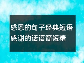 感恩的句子经典短语感谢的话语简短精辟205条