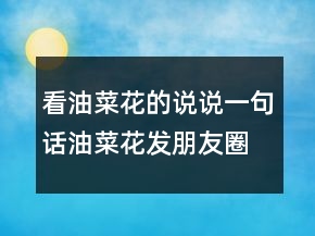 看油菜花的说说一句话油菜花发朋友圈配的文字，油菜花发朋友圈配文203条