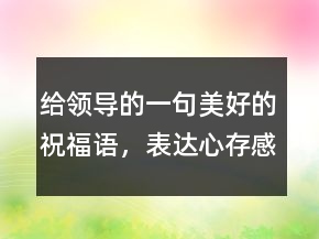 给领导的一句美好的祝福语，表达心存感激的句子224条
