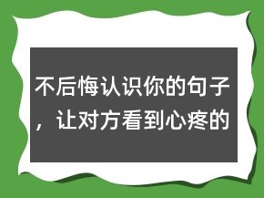 不后悔认识你的句子，让对方看到心疼的句子248条