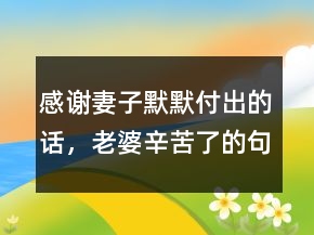 感谢妻子默默付出的话，老婆辛苦了的句子223条
