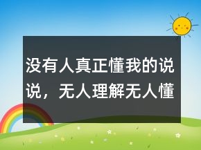 没有人真正懂我的说说，无人理解无人懂的说说243条