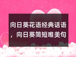 向日葵花语经典话语，向日葵简短唯美句子203条