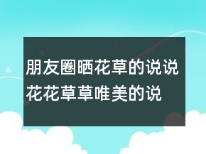 朋友圈晒花草的说说花花草草唯美的说说，欣赏花花草草的说说215条