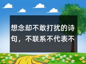想念却不敢打扰的诗句，不联系不代表不想念的句子235条