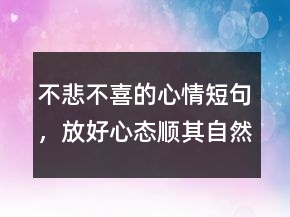 不悲不喜的心情短句，放好心态顺其自然的句子241条