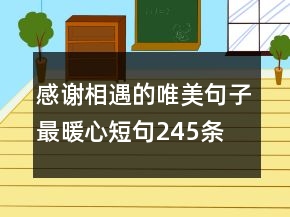 感谢相遇的唯美句子最暖心短句245条