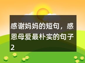 感谢妈妈的短句，感恩母爱最朴实的句子244条