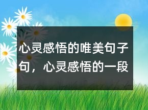 心灵感悟的唯美句子句，心灵感悟的一段话250条