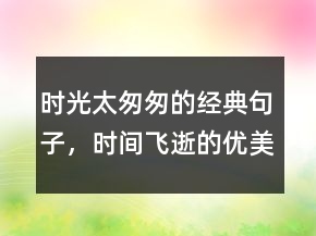 时光太匆匆的经典句子，时间飞逝的优美句子221条
