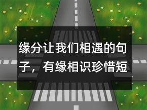 缘分让我们相遇的句子，有缘相识珍惜短句217条