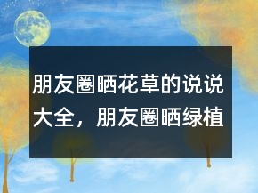 朋友圈晒花草的说说大全，朋友圈晒绿植的说说203条