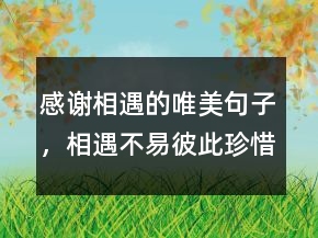 感谢相遇的唯美句子，相遇不易,彼此珍惜句子243条
