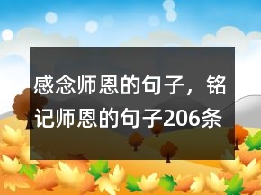 感念师恩的句子，铭记师恩的句子206条