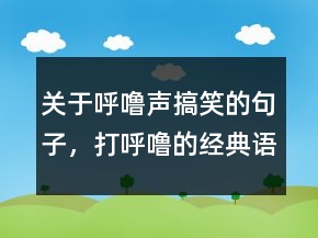 关于呼噜声搞笑的句子，打呼噜的经典语录217条