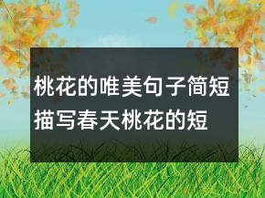 桃花的唯美句子简短描写春天桃花的短句221条