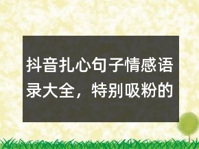抖音扎心句子情感语录大全，特别吸粉的短句238条