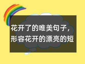 花开了的唯美句子，形容花开的漂亮的短句216条