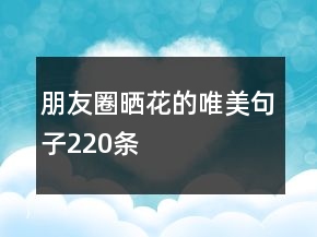 朋友圈晒花的唯美句子220条