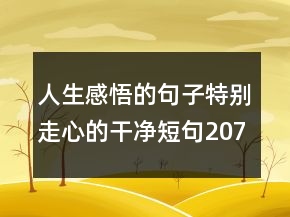 人生感悟的句子特别走心的干净短句207条