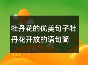 牡丹花的优美句子牡丹花开放的语句简短225条