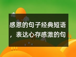 感恩的句子经典短语，表达心存感激的句子238条